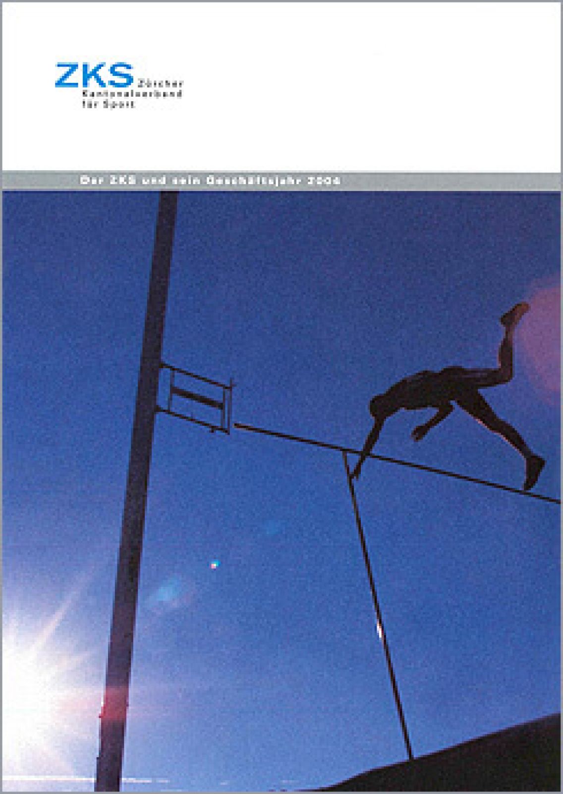 Gesch&auml;ftsbericht 2004